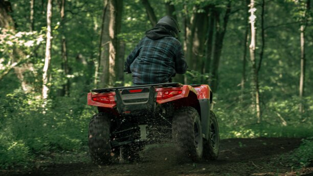 A rider on a Honda Rubicon 700 in the forest