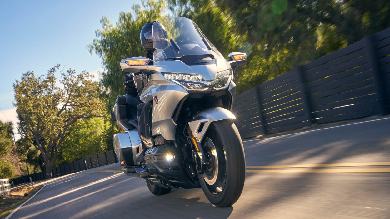 Rider on silver Gold Wing Tour, front facing. Fence and tree in background.