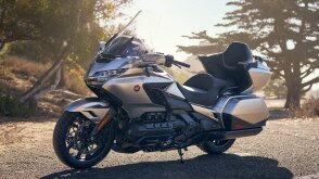 Silver Gold Wing Tour stationary on road. Trees in background