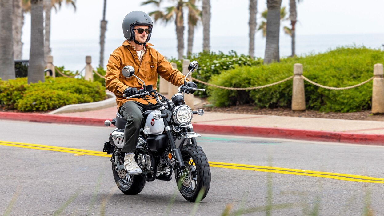 Rider with grey helmet and organge jacket on bike, going right on street. Bushes and bootom of palm trees in background.